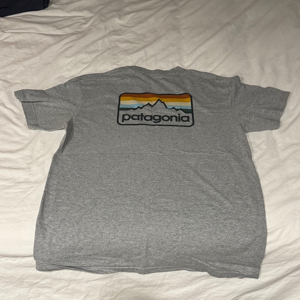Patagonia Responsibili-tee